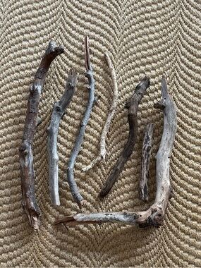 Natural Driftwood Stick Bundle of 7 Neutral Brown Gray Wood South Florida Beach